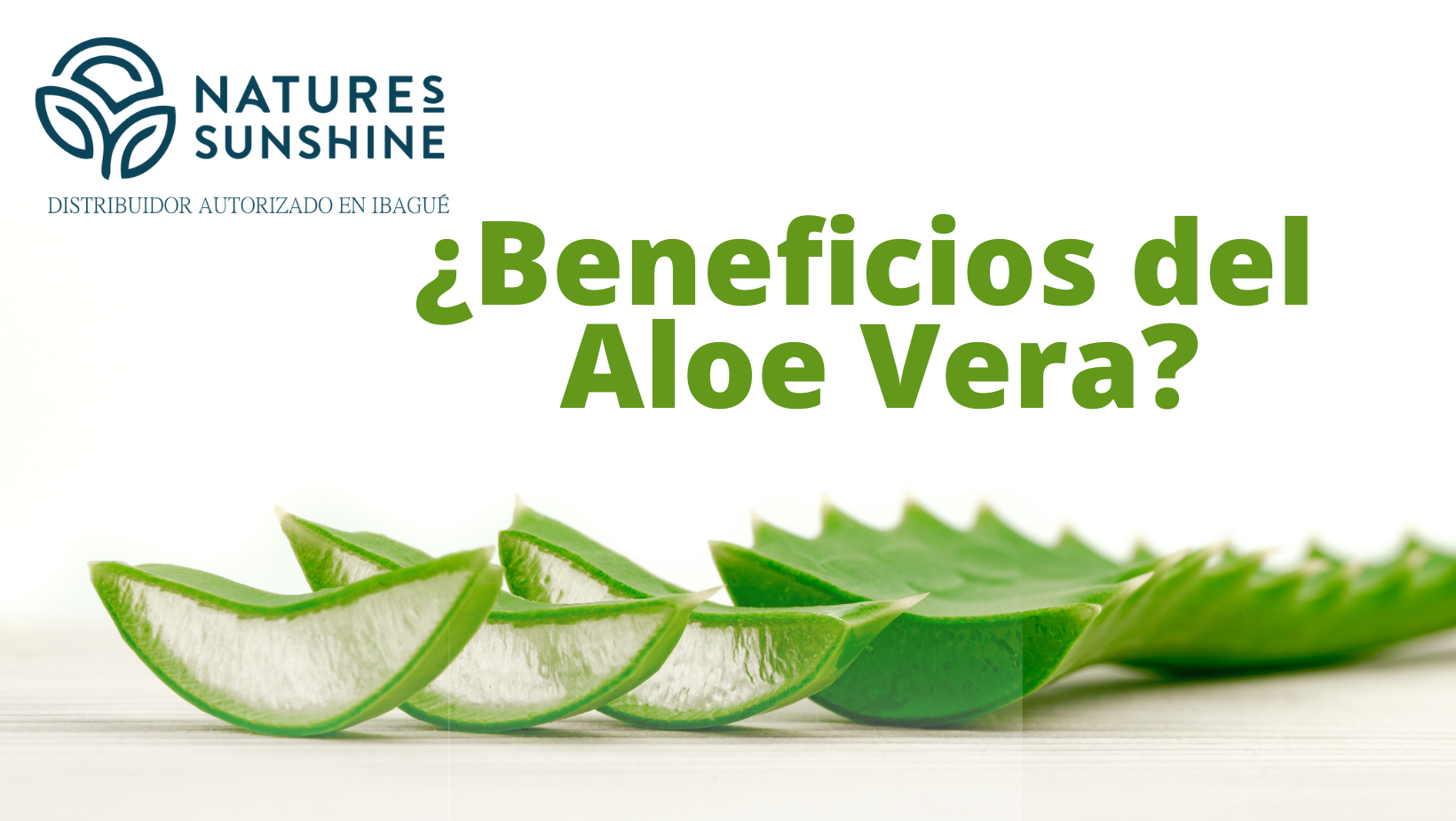 ¿Beneficios del Aloe Vera?