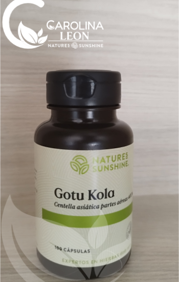 Gotu Kola de Nature’s Sunshine